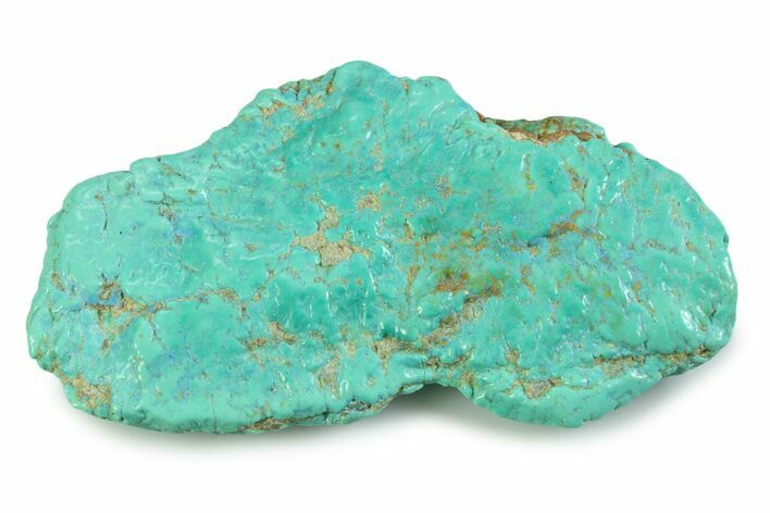 Polished Chilean Turquoise ( grams) Nugget #358827